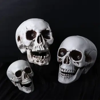 Prekių Apdailos Kabinti Halloween Baisu Kaukolės Modelis Siaubo Skelet Skulptūra Kaulai, Skeletas Kaukolės Galvą Foto Prop Kaukolės Kaulų